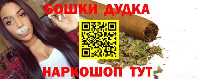 индика Аша