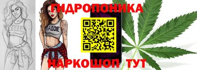 индика Аша