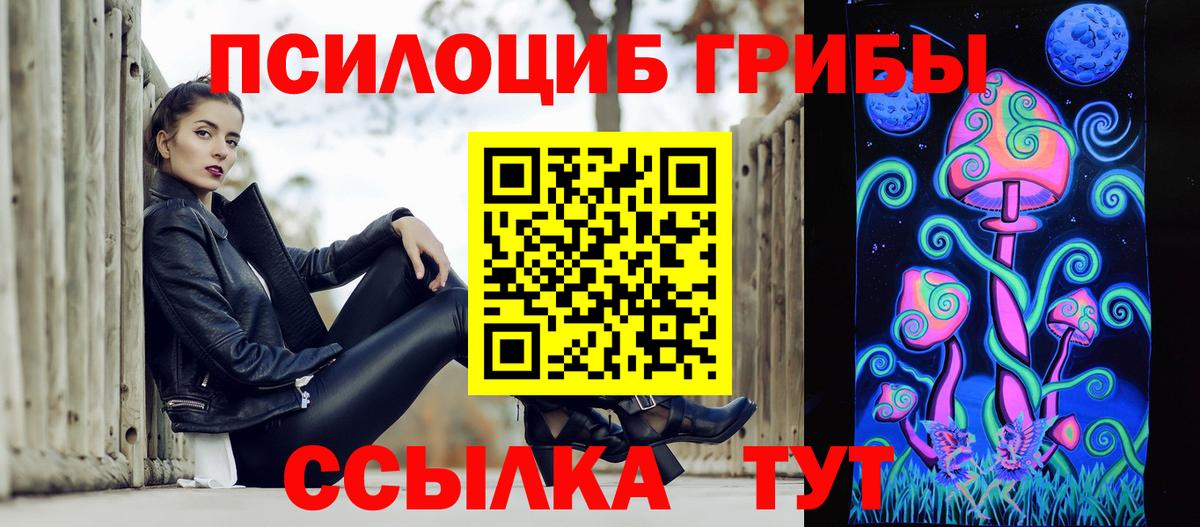 Кизилюрт  Псилоцибиновые грибы Cubensis  Вход с VPN 