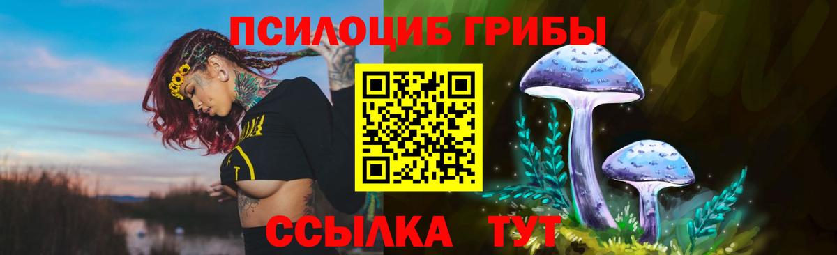 Галлюциногенные грибы GOLDEN TEACHER Кизилюрт